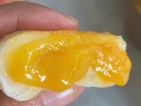 Bánh Pía Tân Phúc Khánh - Đặc Sản Sóc Trăng
